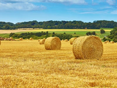 Farm Use Valuation